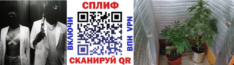 Купить закладку ГАШИШ  А ПВП  МЕФ  Марихуана  COCAIN  Няндома