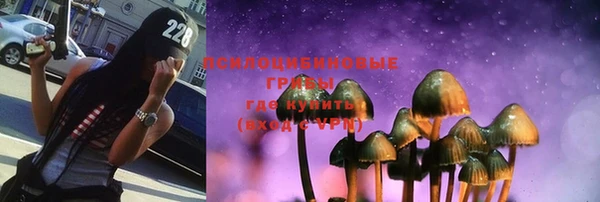 гашик Богданович