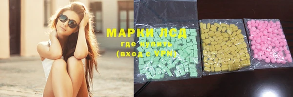 мяу мяу мука Бугульма