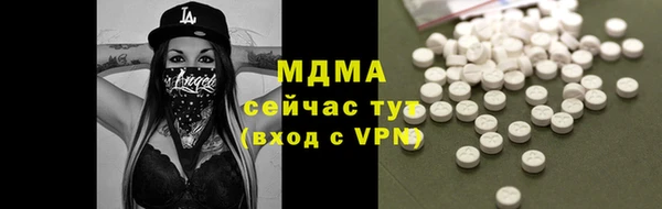 гашик Богданович