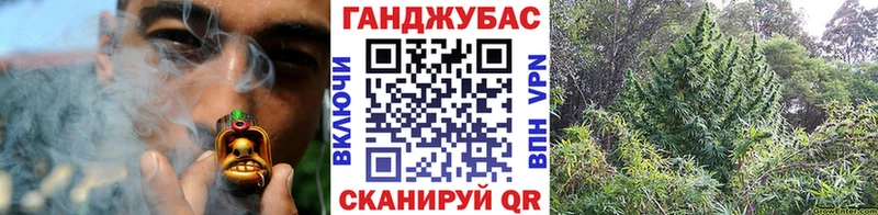 Каннабис MAZAR  Купить закладки  Няндома 